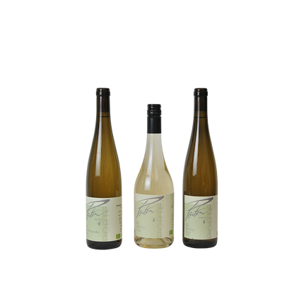 Weißweinpaket, trocken