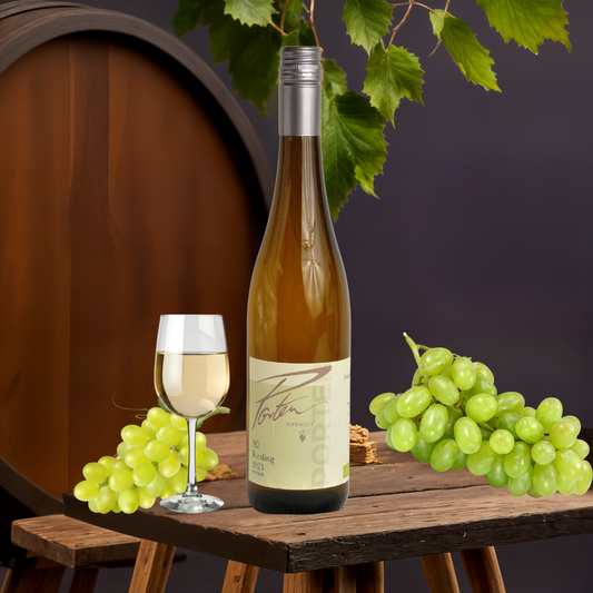 2023 Bio Riesling, trocken